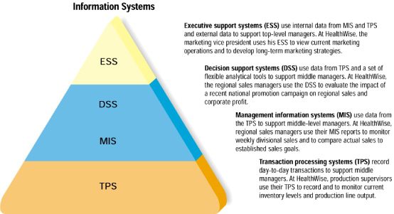 Management Information System Support